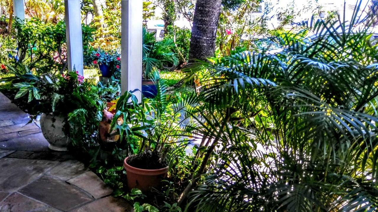 Boca Ciega Bay Apartment St. Pete Beach Bagian luar foto